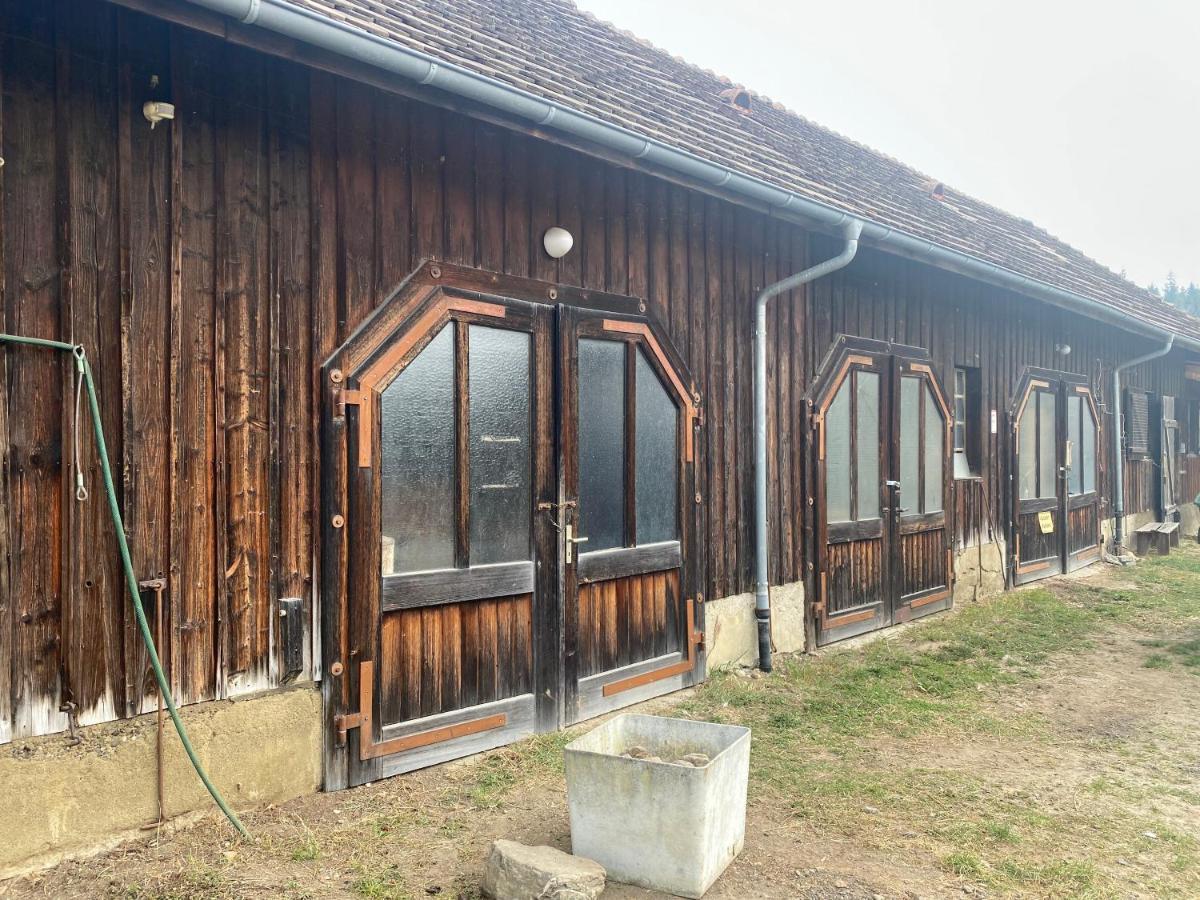 Apartmán Bio Hofgut Wiggenweiler Bermatingen Exteriér fotografie